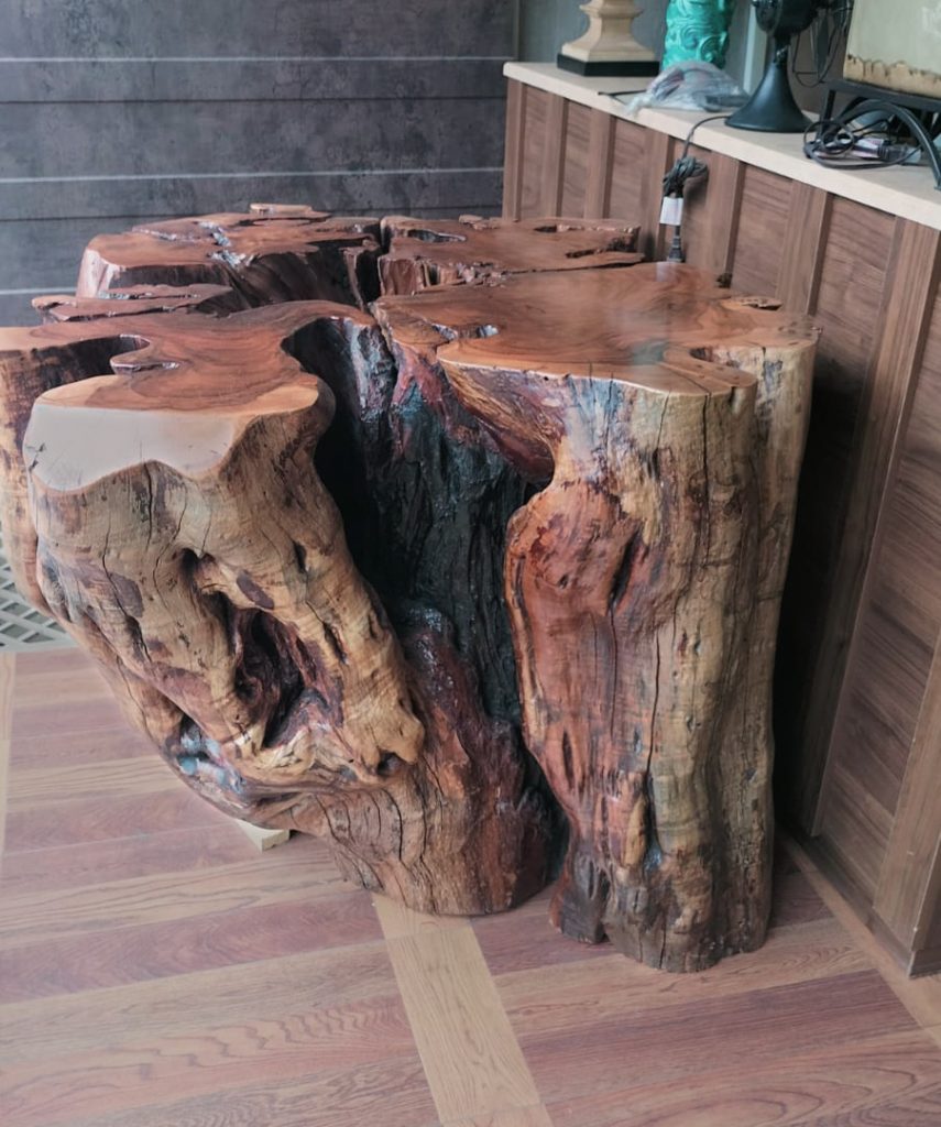 Log Root 02 (Acacia Wood)