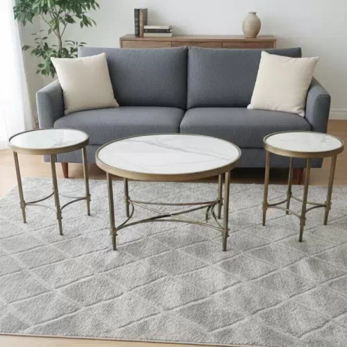 MS ROUND TABLE 01